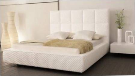 Ideje za postavljanje spavaće sobe s bijelim krevetom