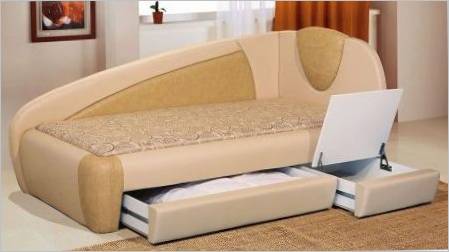 Jedinstveni kauči s platnenim okvirima: Značajke i izbor