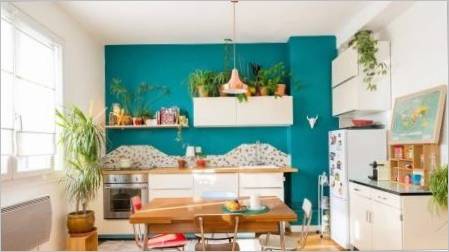 Kako odabrati boju zidova u kuhinji?