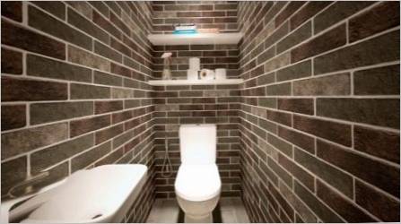Loft WC: Preporuke za dizajn i lijepi primjeri