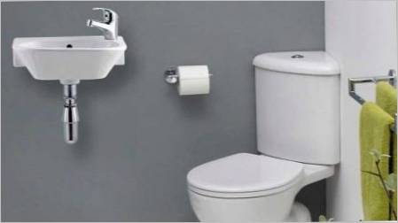 Male školjke za toalet: što se događa i što treba uzeti u obzir prije kupnje?