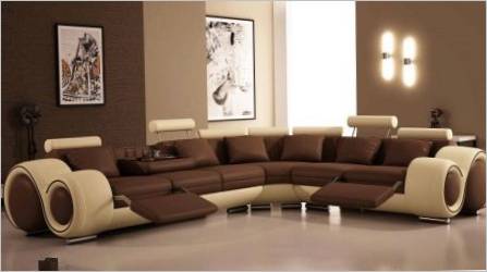 Moderni sofe za dnevni boravak: sorte i savjeti o odabiru