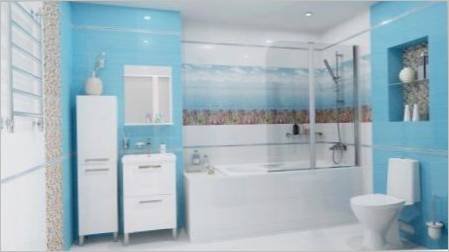 Plava kupaonica pločica: prednosti i kontra, sorte, izbor, primjeri