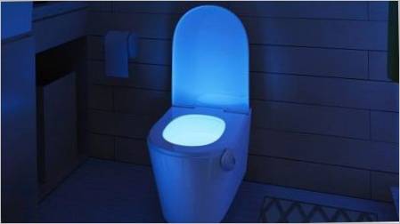 Pozadinsko osvjetljenje za WC: što se događa i kako odabrati?