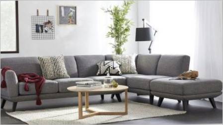 Sivi kauč u unutrašnjosti dnevne sobe: vrste, s onim što se kombinirati i kako odabrati?