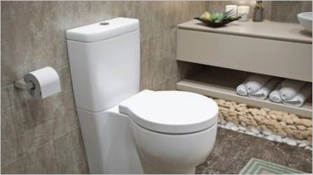 Visina WC-a: norme i standardi