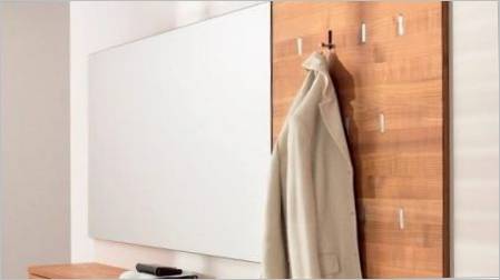 Zidne kuke za odjeću u hodniku: što se događa i kako odabrati?