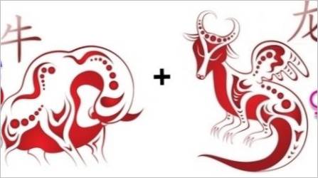 Bull i Dragon kompatibilnost u prijateljstvu, radu i ljubavi