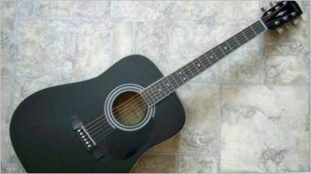 Model gitare Parkwooda