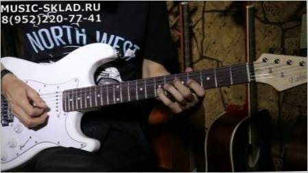 Pregled bijelih gitara