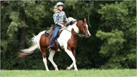 Jahanje konja: Prednosti, nedostaci i osnovne preporuke