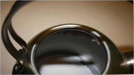 Što očistiti čajnik od nehrđajućeg čelika vani i iznutra?
