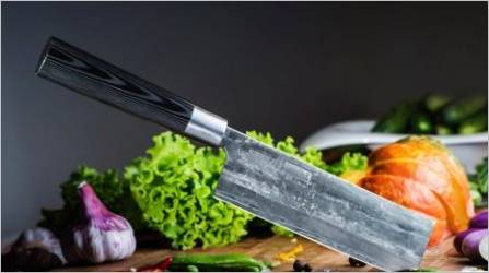 Japanske kuhinjske noževe: vrste, pravila izbora i skrbi