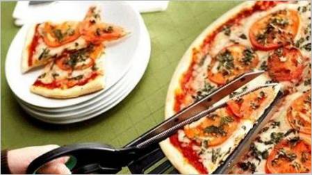 Pizza noževi: opcije dizajna i značajke odabira