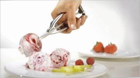 Spoon za sladoled: Značajke i pravila korištenja