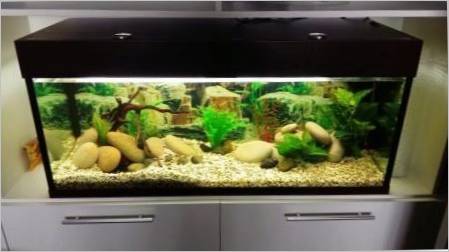 Akvarij 150 litara: veličine, rasvjete i izbor riba
