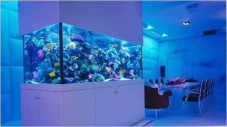 Akvariji u unutrašnjosti: Preporuke za odabir i instalacije