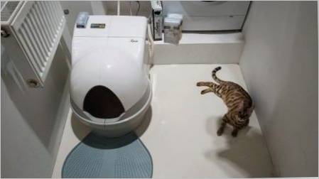 Automatske mačke WC-a: Značajke, odabir i ocjena modela