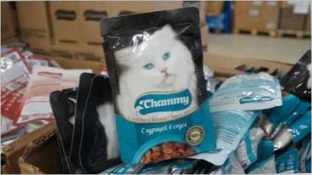 Catt Cat Chammy