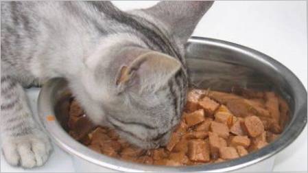 Feed u vrećicama za mačke: što čini i koliko dati dan?
