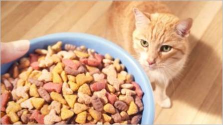 Koliko suhe hrane dati mačku?