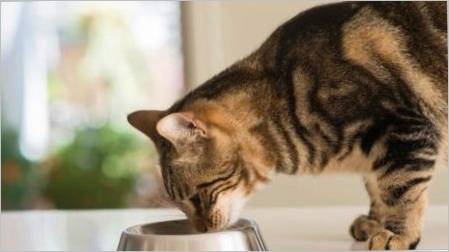 Od hrane za sterilizirane mačke razlikuju se od običnih?