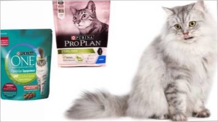 Povratne informacije za sterilizirane purine mačke