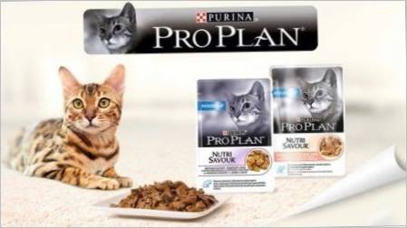 Pregled mokre hrane za mačke i mačke Purina Pro Plan