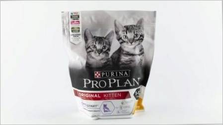 Pregled suhe hrane Purina Pro plana za mačiće
