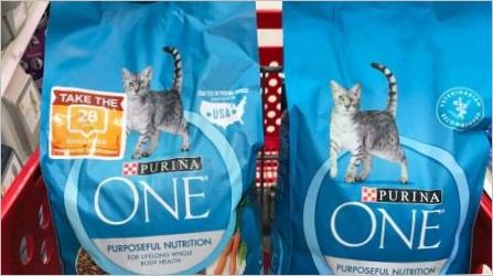 Savjeti za odabir hipoalergene suhe hrane za mačke