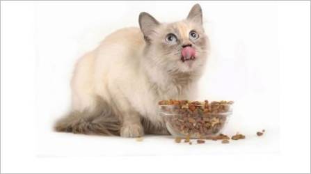 Suha hrana za sterilizirane mačke: svojstva, proizvođači, izbor i način rada
