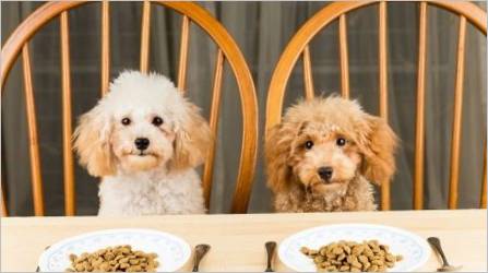 Usporedba hrane različitih razreda za pse