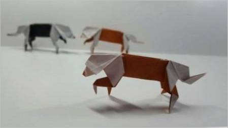 Kako napraviti origami u obliku psa?