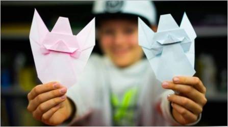 Origami Mogućnosti za djecu 10 godina