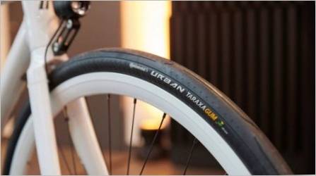 CustInental Bicikli: Prednosti, nedostaci i raspon modela