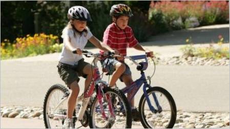 Dječji bicikli za dijete od 10 godina: najbolji modeli i savjeti o izboru