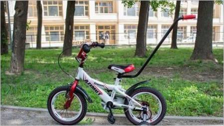 Dva kotača djecu bicikli s ručkom: proizvođači pregled i kriteriji za izbor