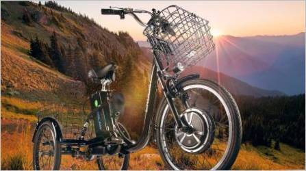 Električni bicikli s tri kotača: sorte, brandovi, izbor