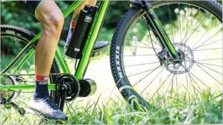 Gume 26 inča za bicikl: Proizvođači i savjeti za odabir