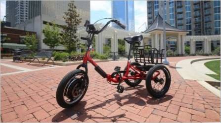 Odrasli električni bicikli s tri kotača: Značajke, marke, izbor, korištenje