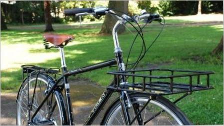 Prednji debla na biciklu: vrste, svojstva, preporuke za odabir