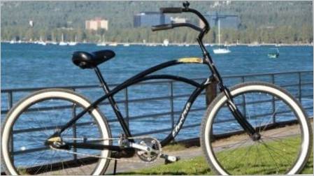 Pregled modela reda Electra Bicycle