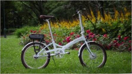 Sklopivi shulz bicikli: raspon modela i suptilnosti za odabir
