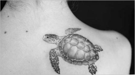 Sve o tetovaža kornjača 