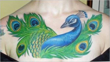 Što simbolizira Tattoo Peacock ?