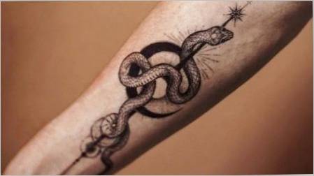 Što znači tetovaža s zmijama i gdje ih primijeniti?