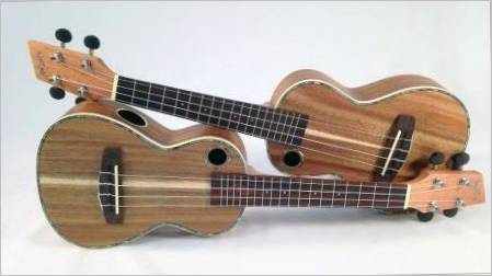 Borba šest na ukulele